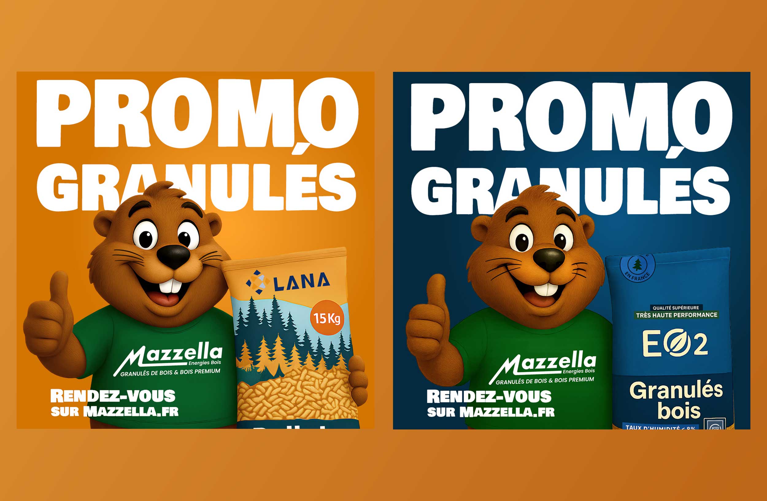Mazzella6